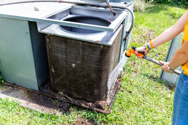 Best Home Air Vent Cleaning  in Roselawn, IN