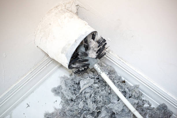 Best Dryer Vent Cleaning Services  in Roselawn, IN
